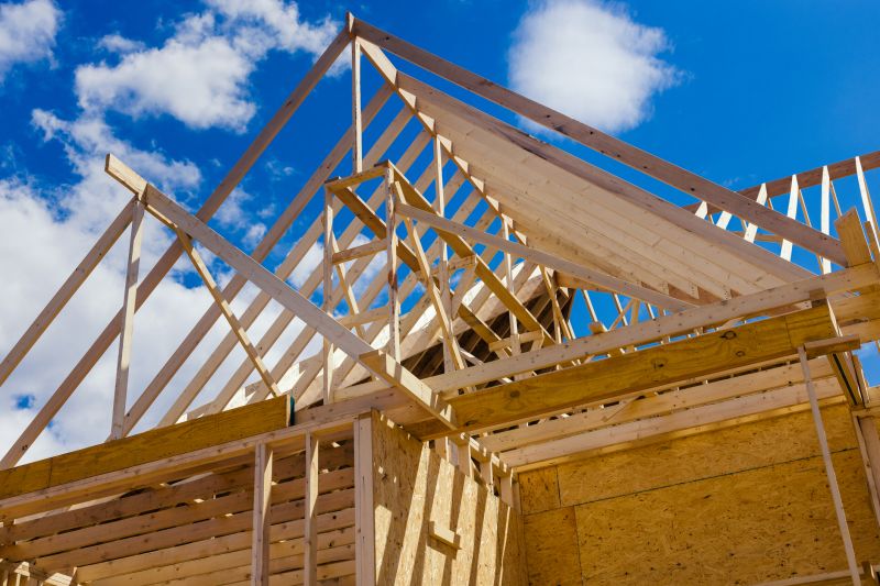 Roof Sheathing Service in Conroe, TX